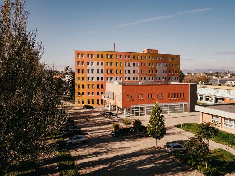 冬から春へ、苦手分野を見直す復習のコツ